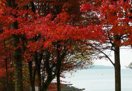 Vacouver canada