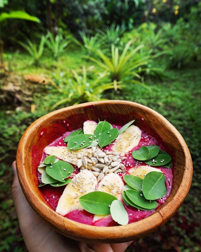 moringa