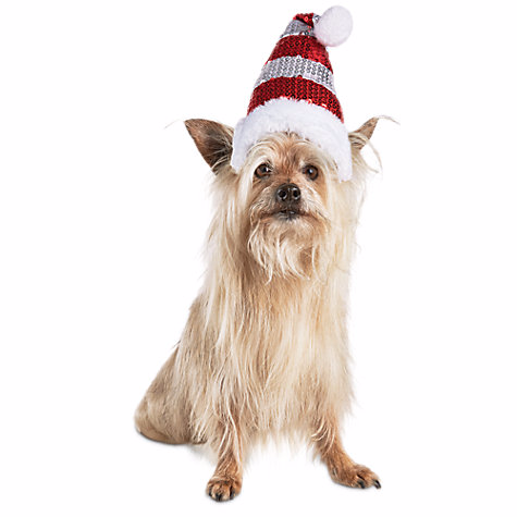 dress up your pet dog in christmas costumes from petco dress up your pet dog in christmas costumes from petco