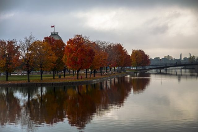 Old Port in Autumn