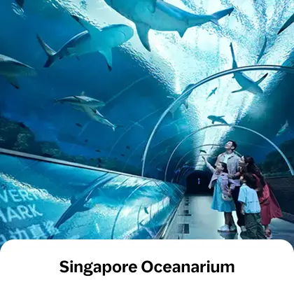 Singapore Oceanarium