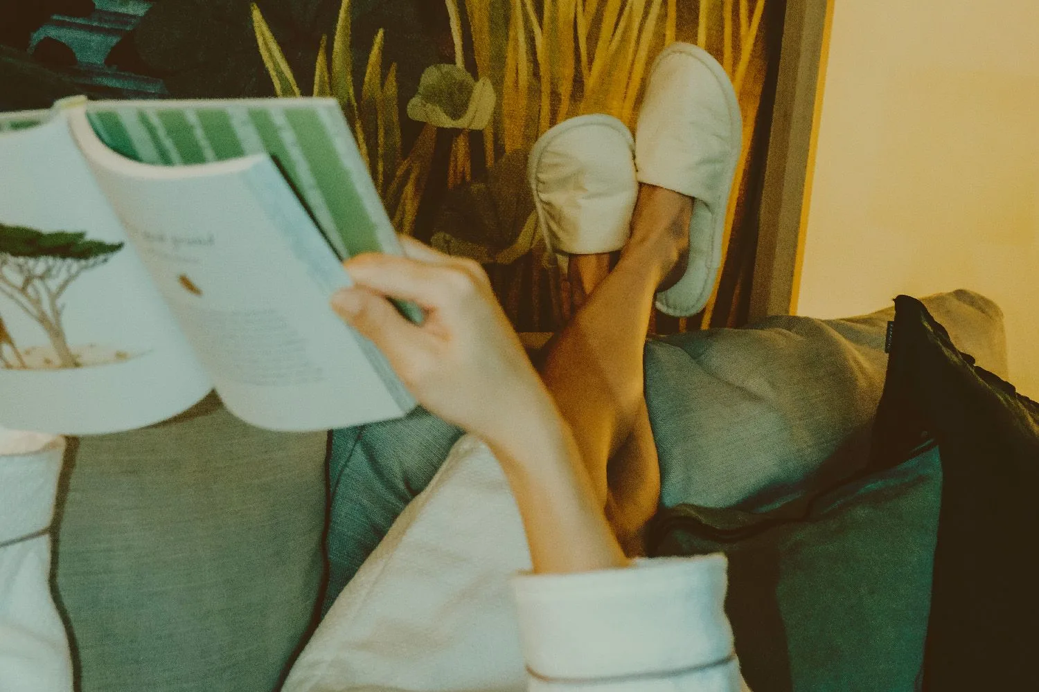 ALL Accor+ hero banner