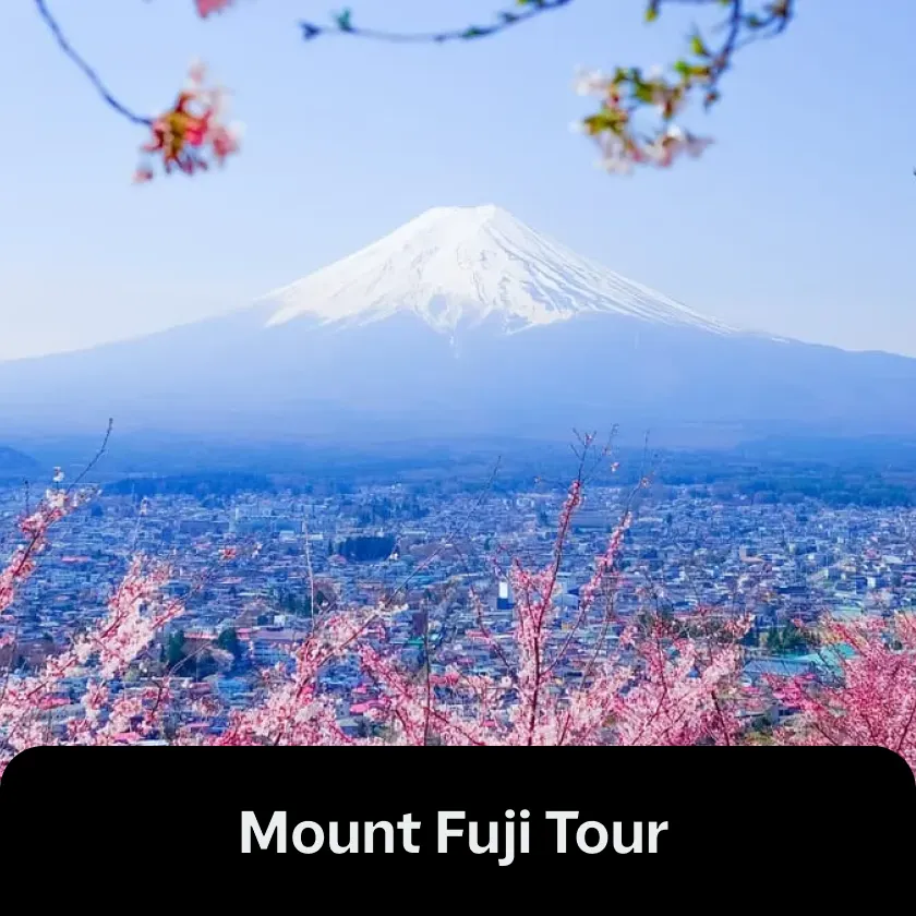 Mount Fuji Tour