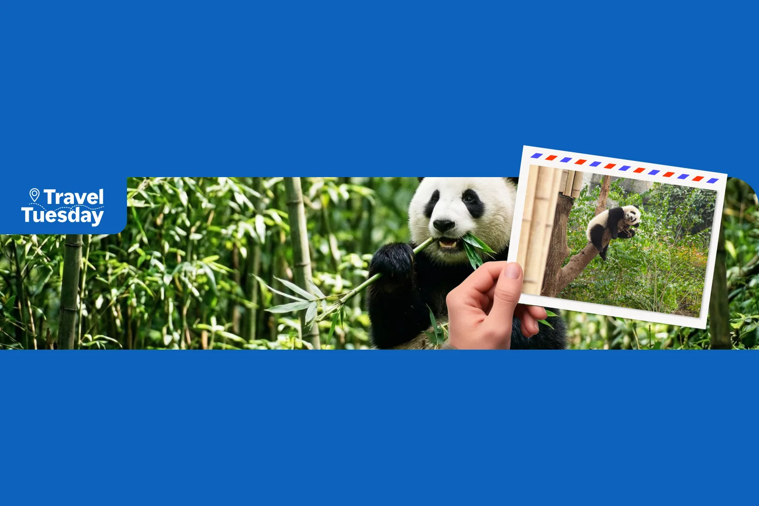 Trip.com hero banner
