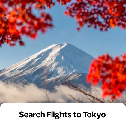 Search Flights to Tokyo