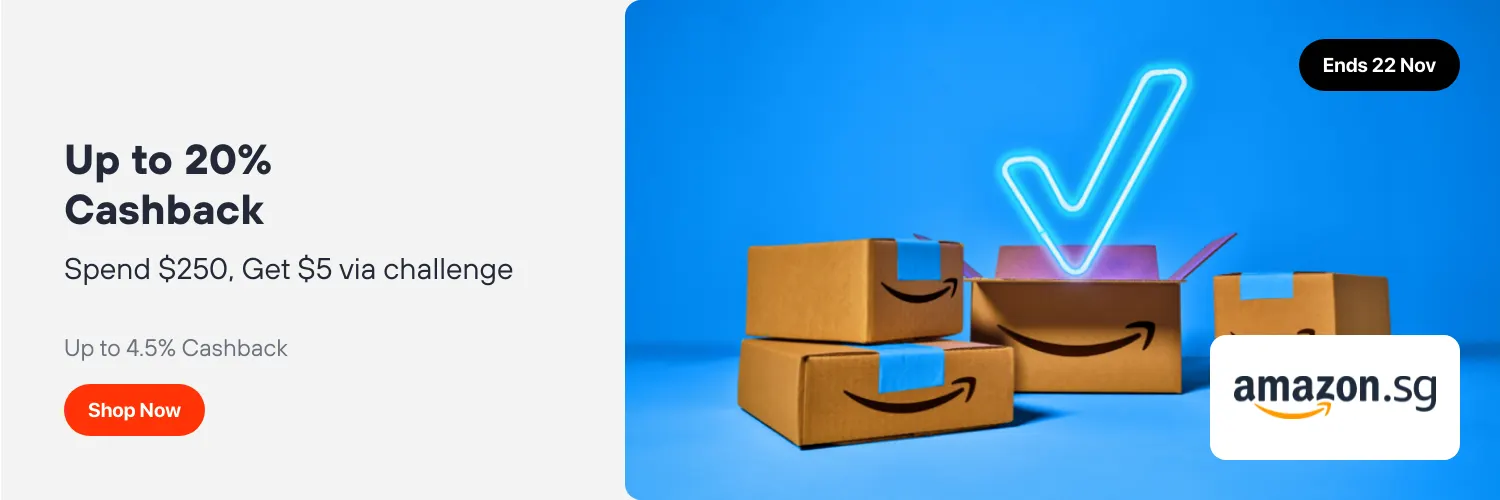 Amazon SG_2024-11-21_web_l1_marketplace_hero