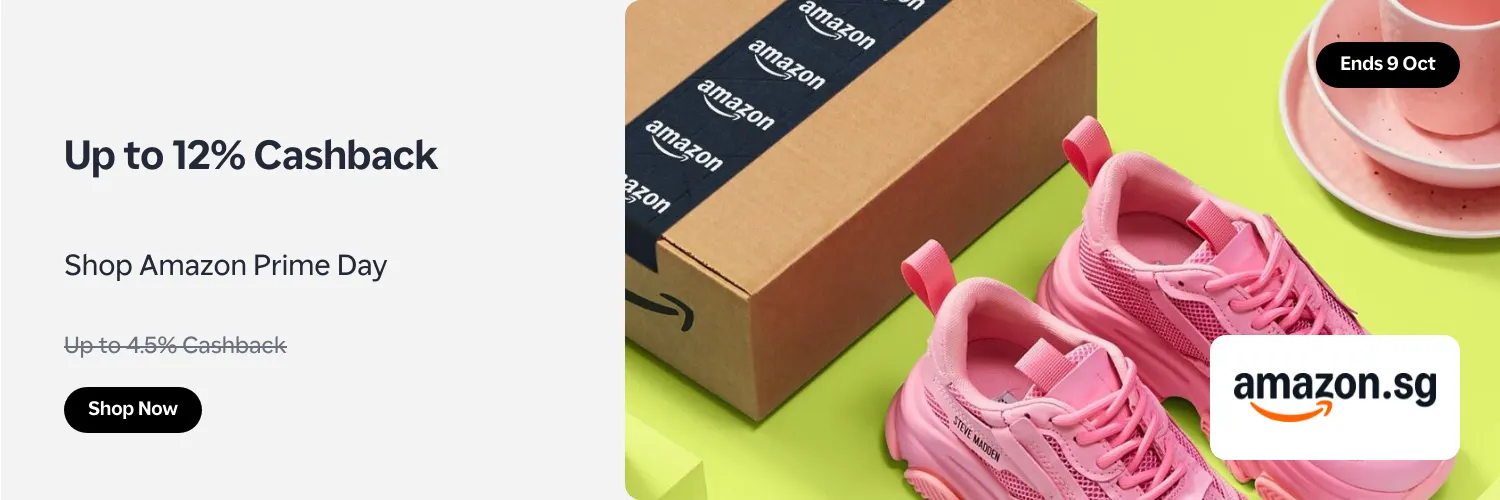 Amazon SG_2025-10-09_web_l1_marketplace_hero