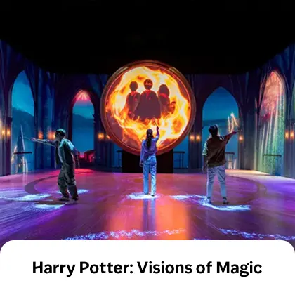 Harry Potter: Visions of Magic