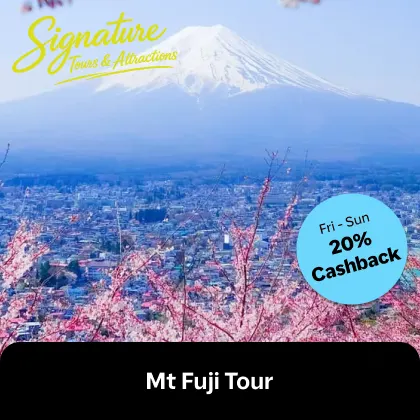 Mount Fuji Tour