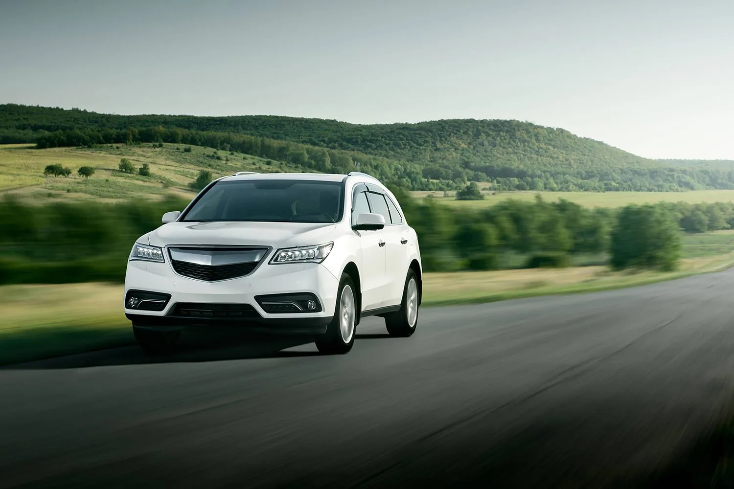 Discover Cars hero banner