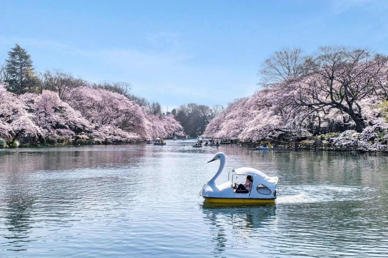 Rakuten Travel hero banner