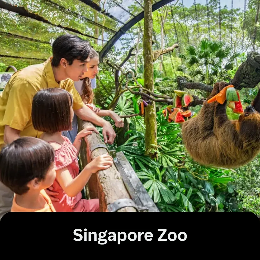 Singapore Zoo