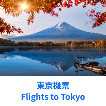 Trip-tastic_SKU_Tokyo flight
