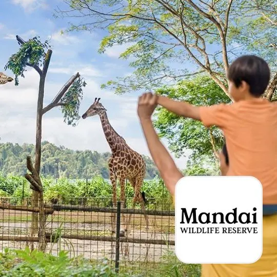 Mandai Wildlife Reserve