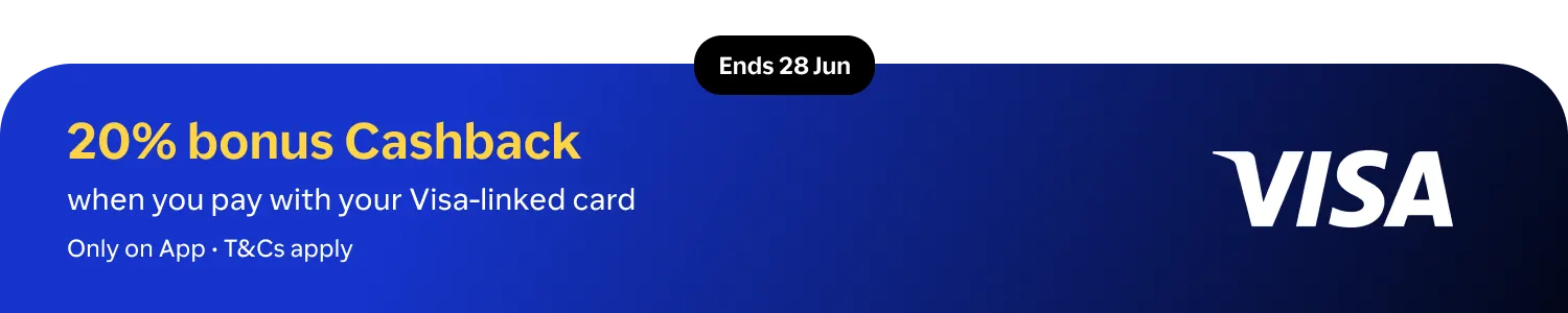 VisaHeader_Web