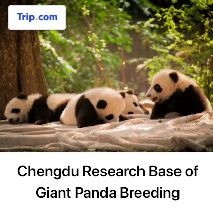 Chengdu Research Base of Giant Panda Breeding