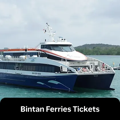 Pelago - Bintan Ferry