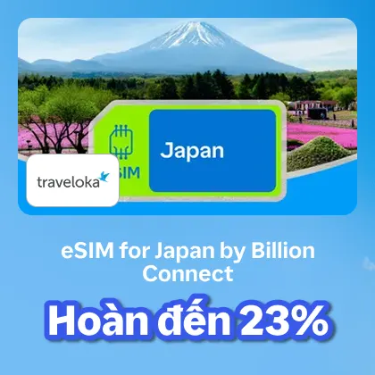 esim japan