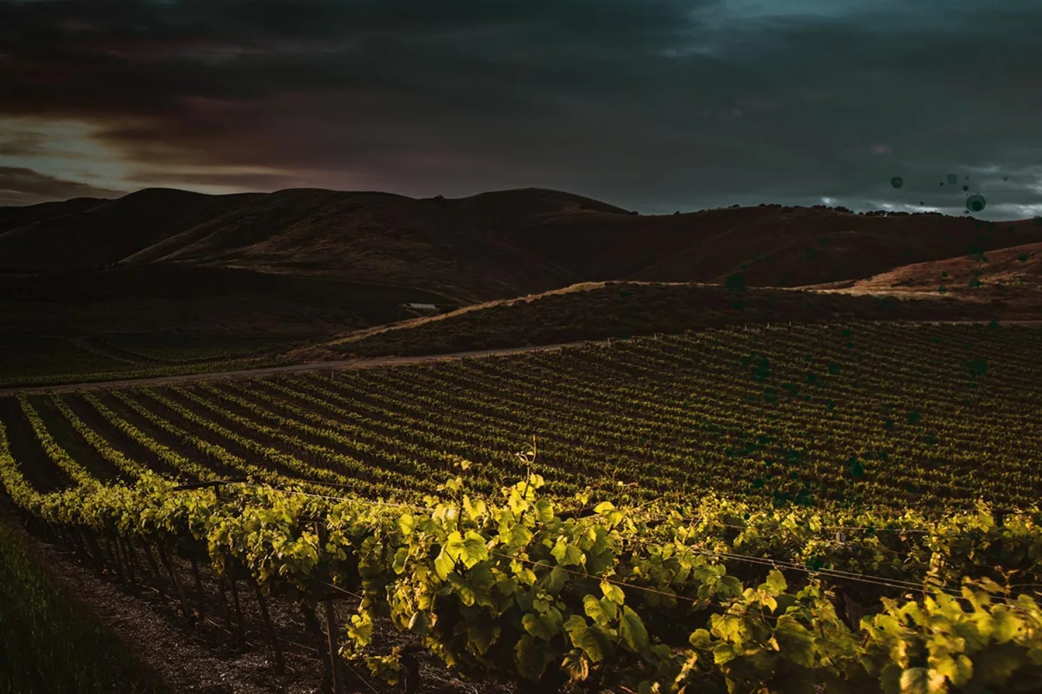 LET'S AQIQAH hero banner