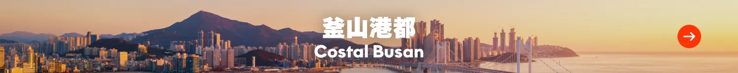 city bar banner_busan