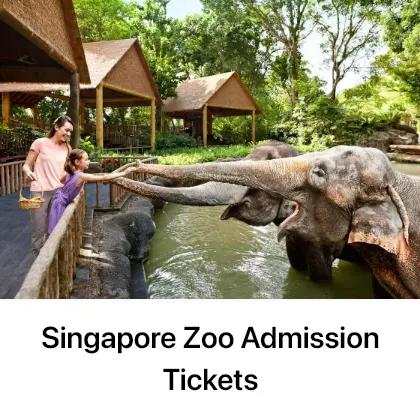 Singapore Zoo Tickets - Pelago Recommended Activities