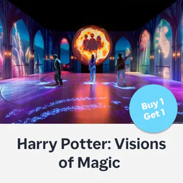 Harry Potter: Visions of Magic