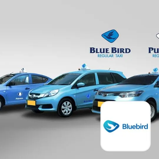Bluebird