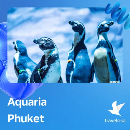 Aquaria Phuket