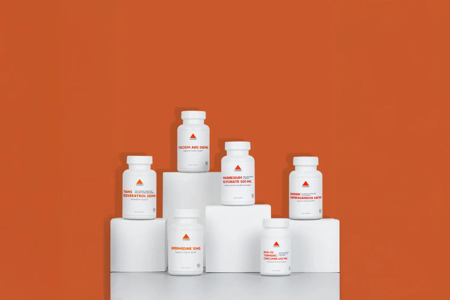 Xandro Lab hero banner