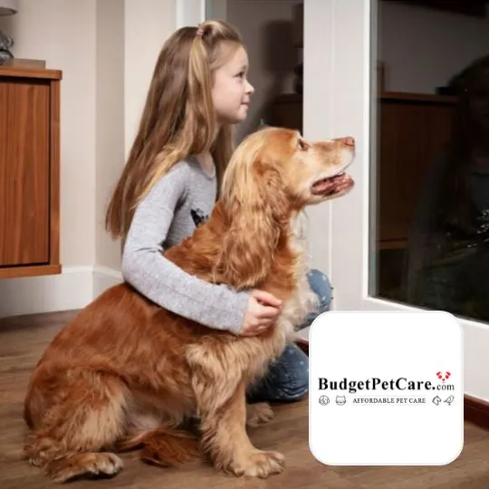 Budget Pet Care