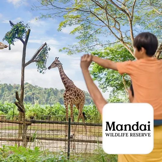 Mandai Wildlife Reserve