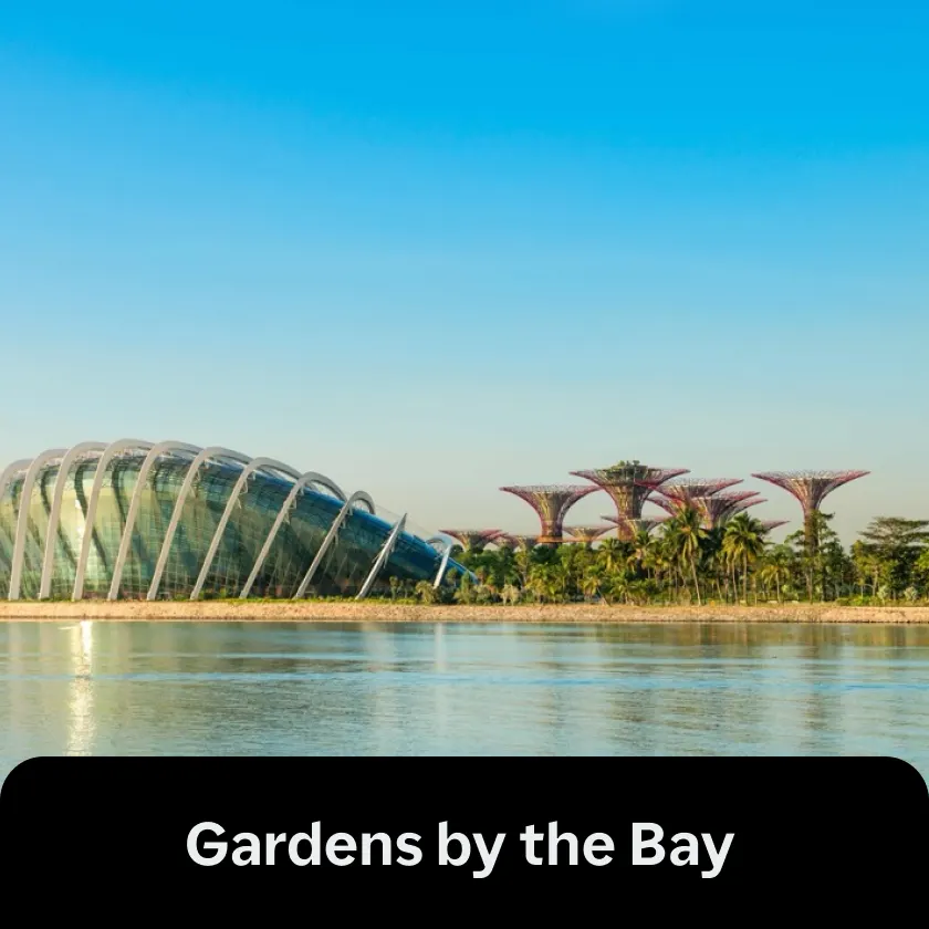 Gardens by the Bay