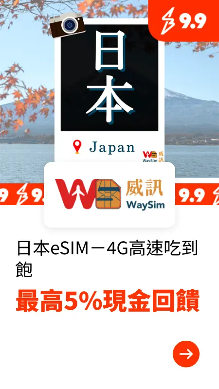 waysim