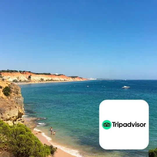 Tripadvisor