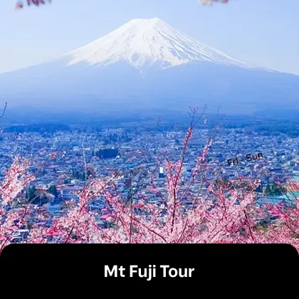 Mt Fuji Tour