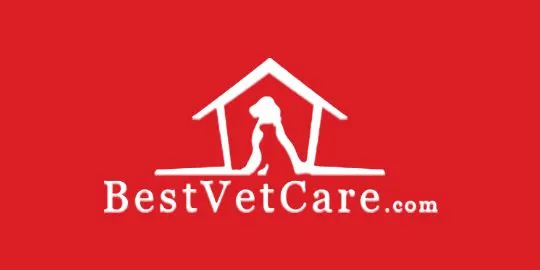 Best Vet Care