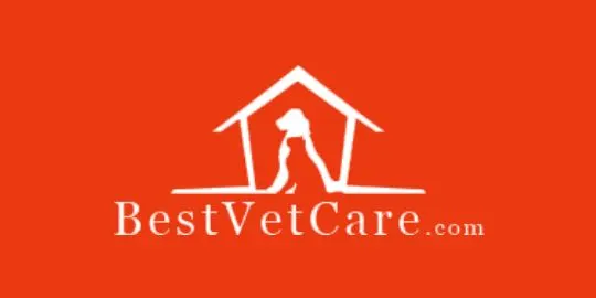 Best Vet Care