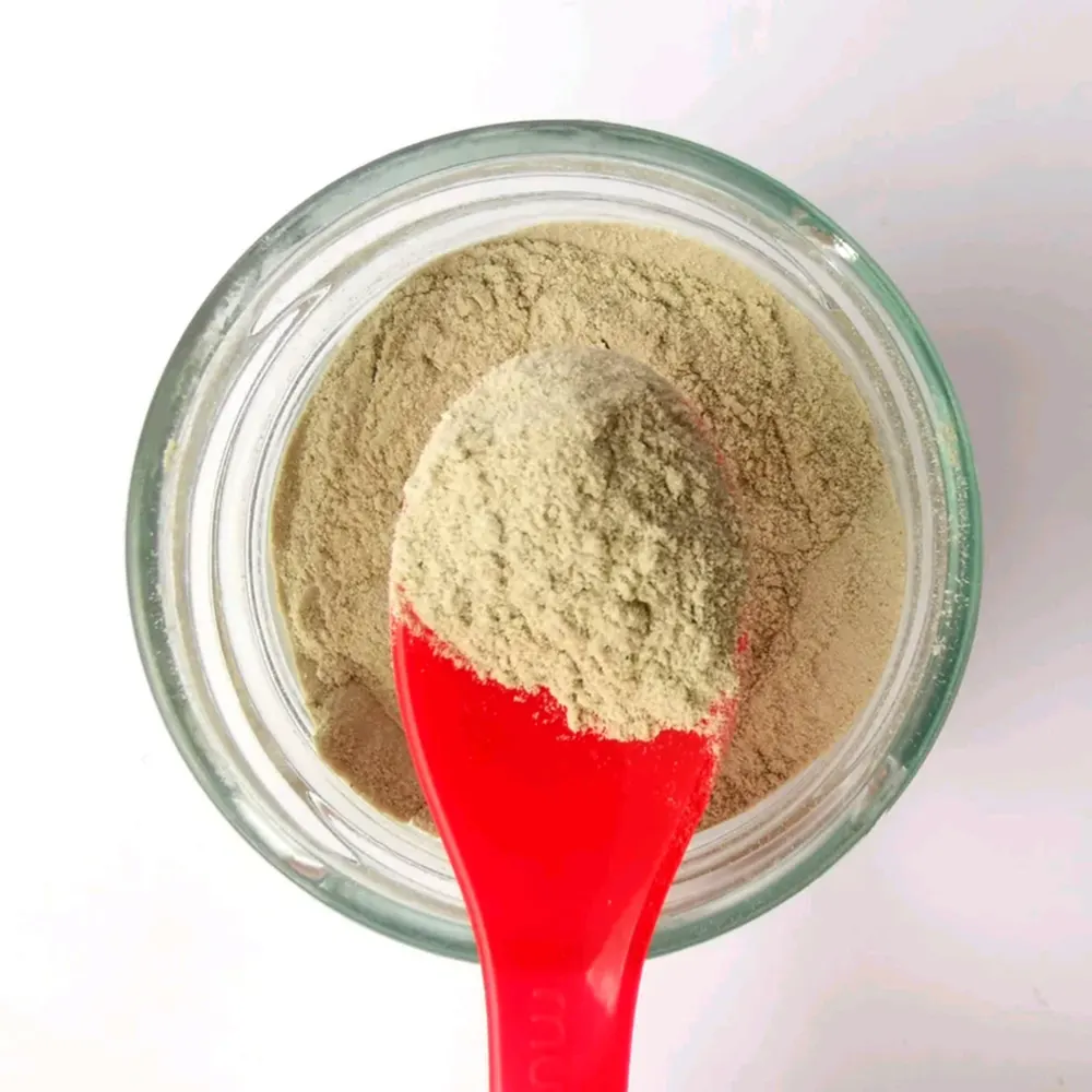 SG Homemade hero banner