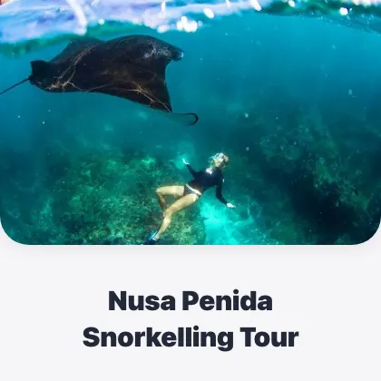 Nusa Penida Snorkelling Tour