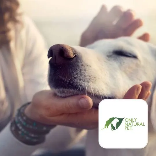 Only Natural Pet