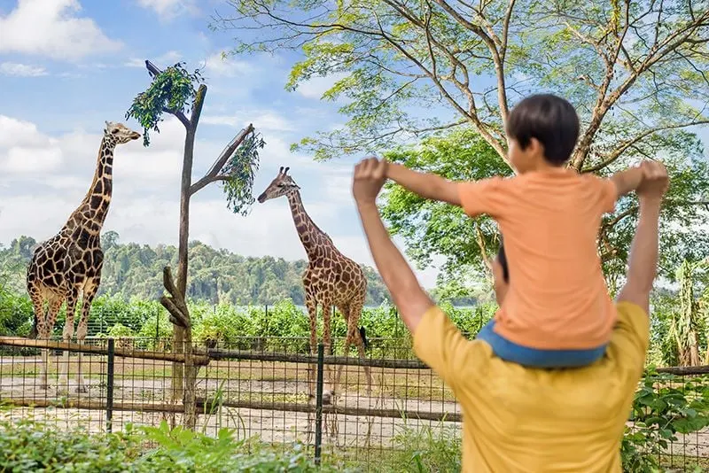 Mandai Wildlife Reserve hero banner