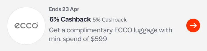 ECCO web homepage hero