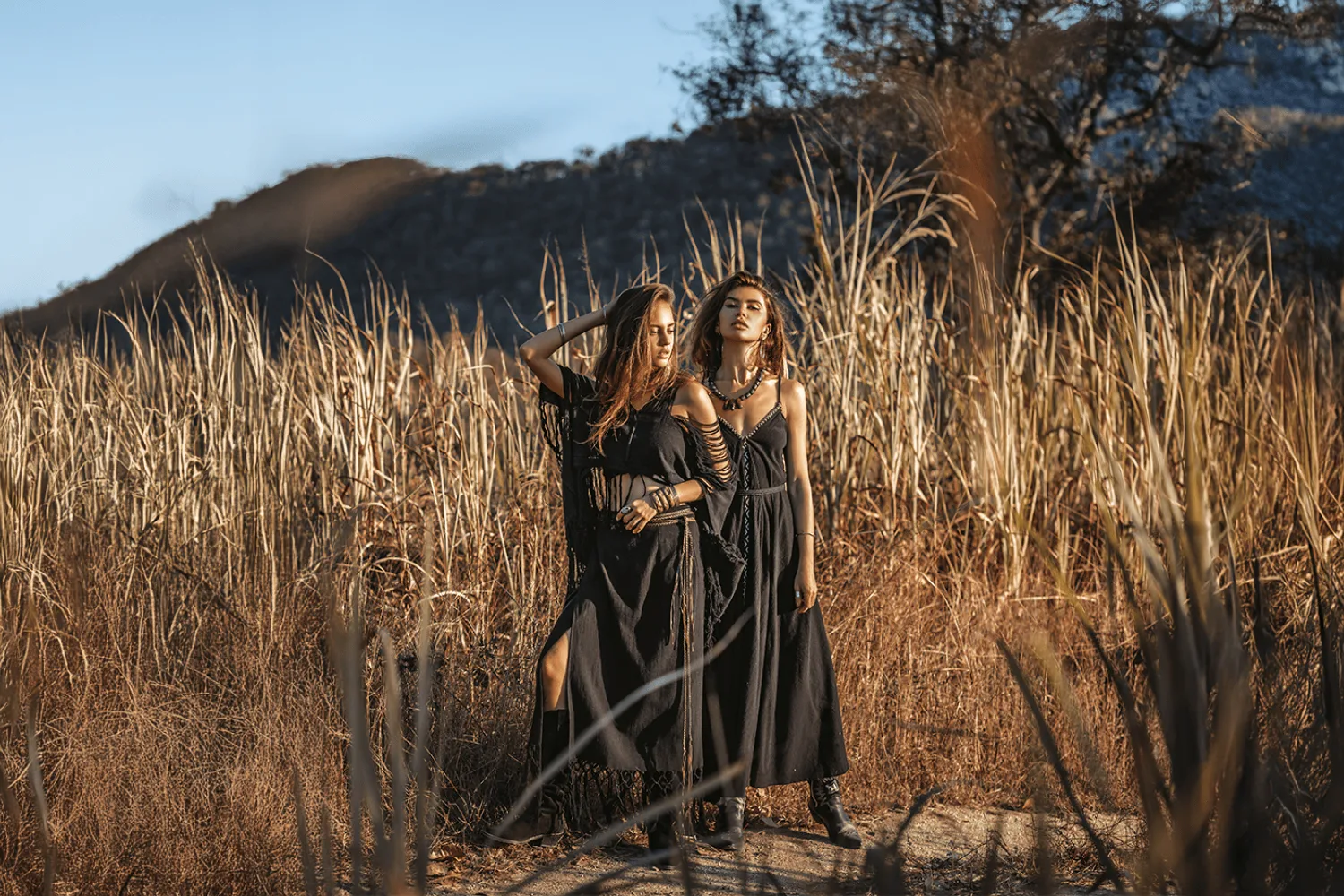 lasevgi.com hero banner