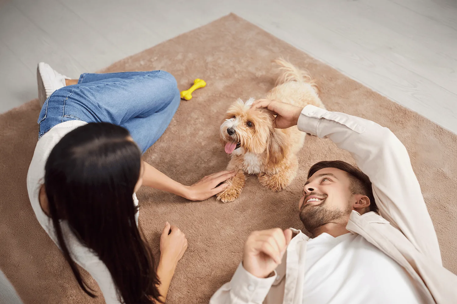 TLJ Home Solutions hero banner