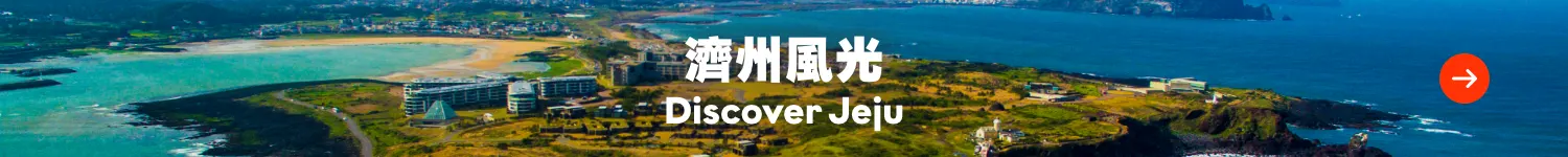 city bar banner_jeju