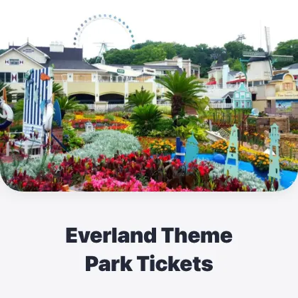 Everland Theme Park Tickets