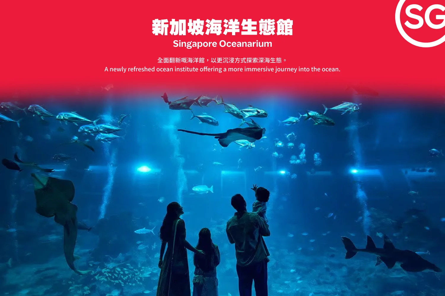 Section 3 Featured Banner_202601_Singapore_App/Web_3