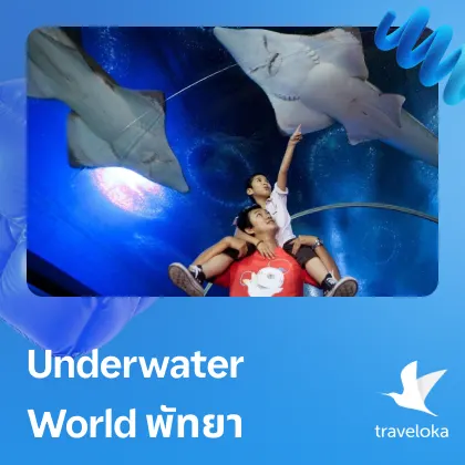Underwater world