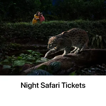 Night Safari Tickets - Pelago Recommended Activities