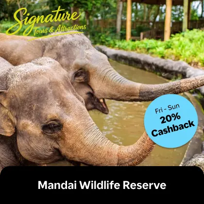 Singapore Zoo